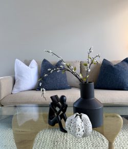 home-staging-auckland-portfolio-36